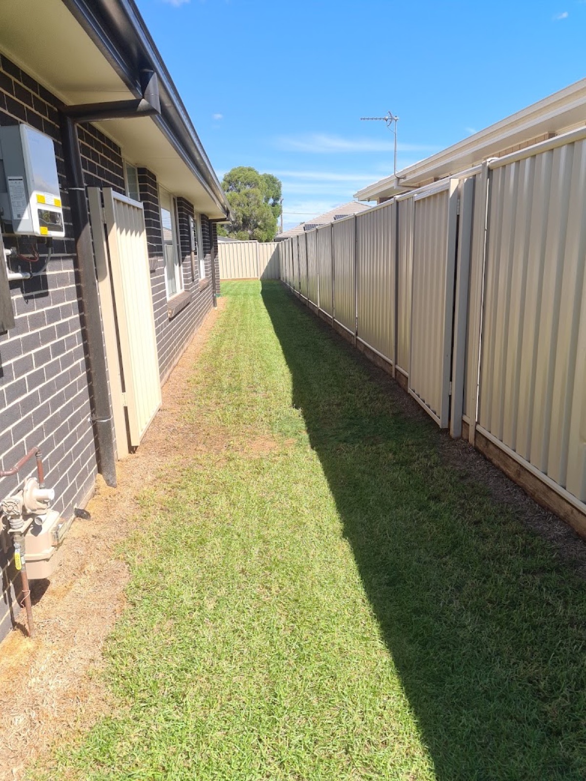 A narrow side lawn mown clean between a brick house wall and a Colorbond fence
