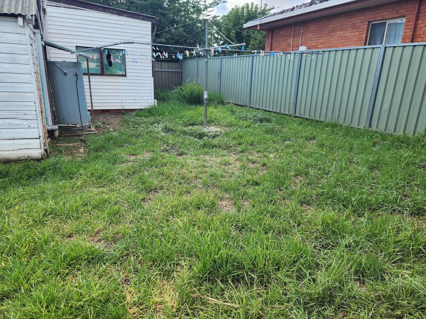 A Dubbo backyard with long grass running up to a green Colorbond fence