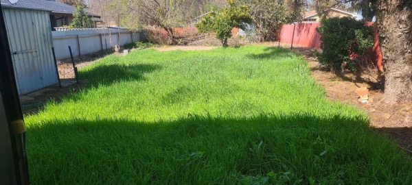 A thick green lawn mown flat across a fenced backyard