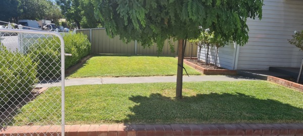A mown lawn under a shade tree beside a wire fence and a garden shed