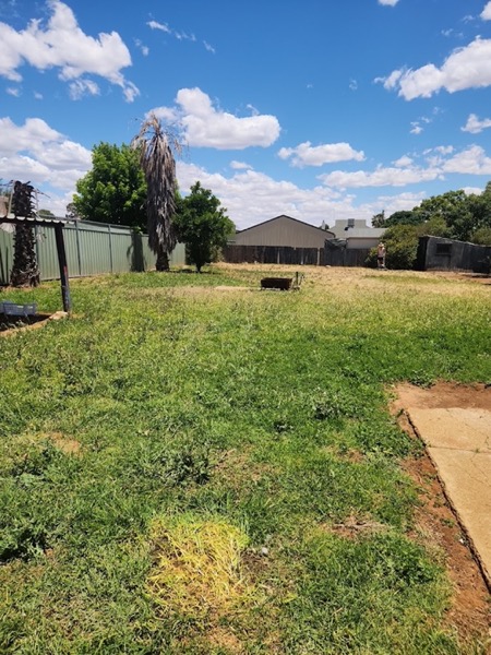 A wide back lawn mown flat under gum trees on a clear day