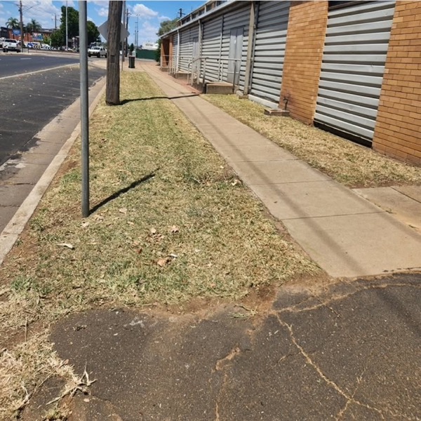 A nature strip mown along a fence line with clippings on the footpath