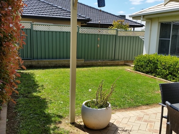 A back lawn mown around a pergola post and a potted plant