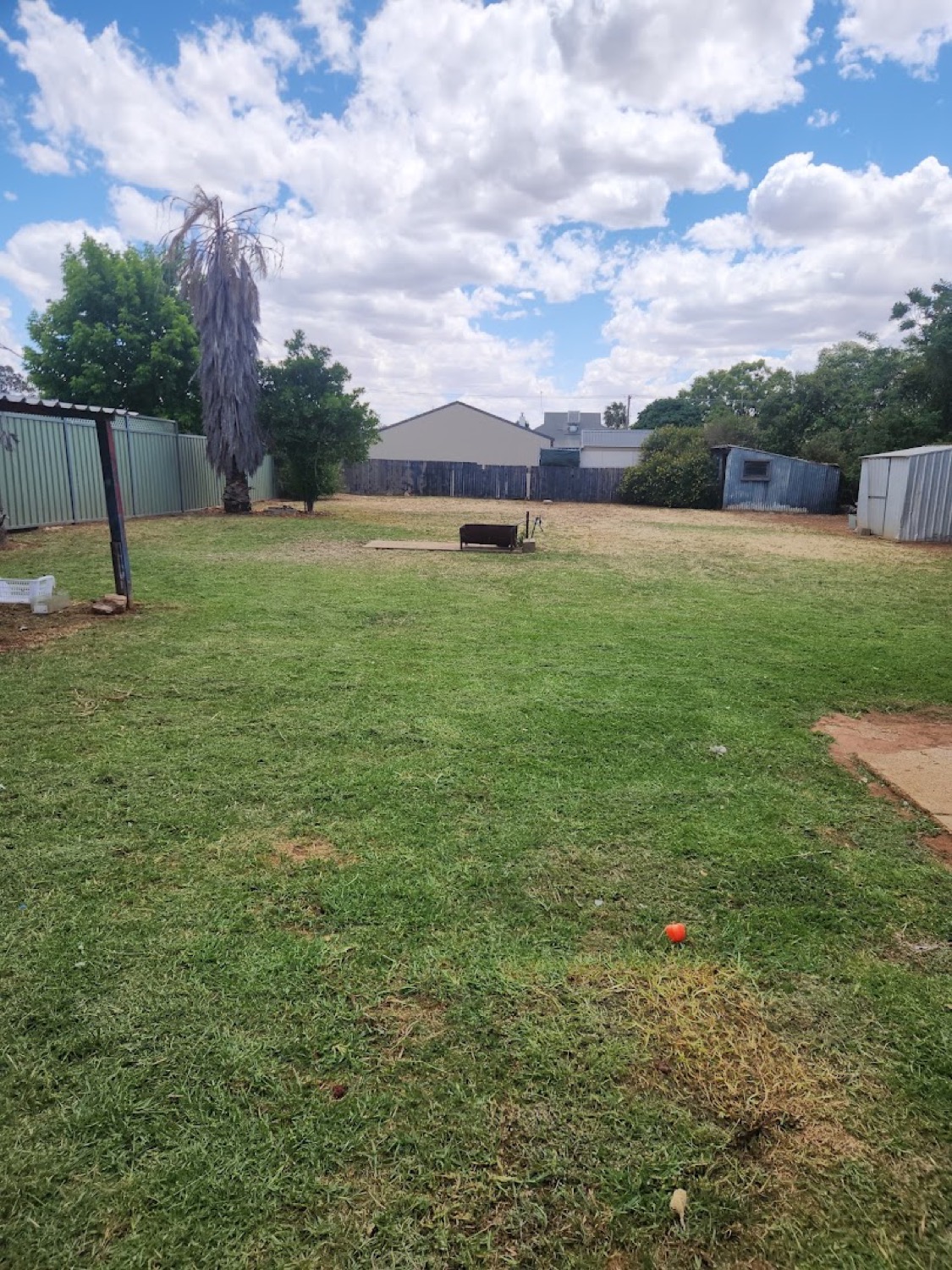 A back lawn mown up to a Colorbond fence beside a weatherboard house