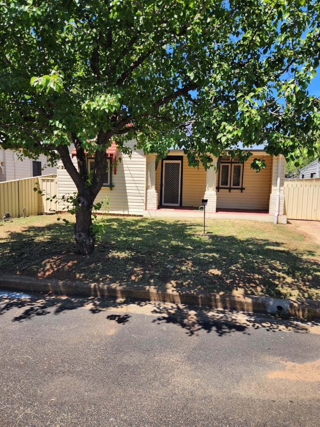 A front lawn mown under a large shade tree at a weatherboard cottage